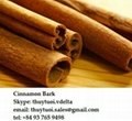 Viet Nam Cinnamon Bark 4