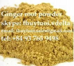 Viet Nam Ginger root Powder