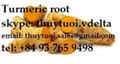 Viet Nam Turmeric Root