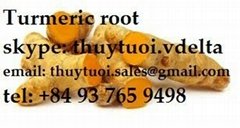 Viet Nam Turmeric Root