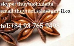 Star Aniseed Viet Nam