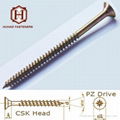 chipboard screw 1