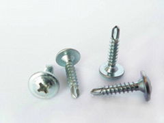 Self-tapping Screw