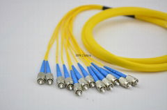 Fiber Optic 12 core Bundle Distribution Pigtails with FC connectors