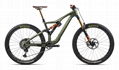 2021 Orbea Rallon M-LTD Bike 1