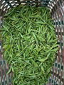 Green dragon tea lungching tea  first Spring tea  Formal tea HOT SELL in 2015 5