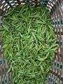 Green tea dragon well tea lungching tea Spring tea rain tea HOT SELL 2015 3