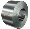 Hot rolled steel strip&Cold rolled steel