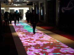 Interactive Floor Projection System