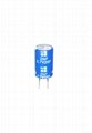 2.7V 5F EDLC Manufacturer Electric Double Layer Capacitor