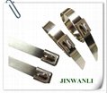 Self-Locking Stainless Steel Ball Lock Cable Ties 2
