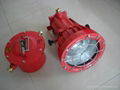 DCG 175 Explosion-proof  project-light