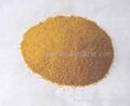 Dried Maggot Powder