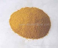 Dried Maggot Powder