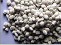 Potassium Sulphate  Granular