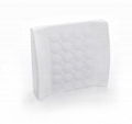 Fashion memory foam massage lumbar support cushion