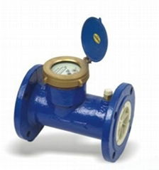 Woltman Water Meter