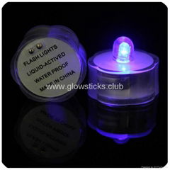 Led Submersible lamp