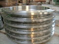 flange WM/PL/SN/SW  ASTM A105,20# ASTM A182 F1