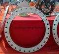 flange WM/PL/SN/SW  ASTM A105,20# ASTM A182 F1