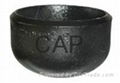 CAP 22-WP5-WP 91-WP911 ASME A403 WP 316-316L