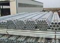 Galvanized steel pipe torque pipe,erw,ssaw,seamless galvanized pipe 