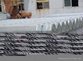 Galvanized steel pipe torque pipe,erw,ssaw,seamless galvanized pipe  4