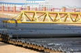 3PE ,FBE, API PLS1 ,PLS2 ,SSAW,ERW,seamless pipe