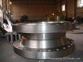 304  316  304L  FLANGE, ASTM ,DIN ,JIS FLANGE,WN .SO,PL 10