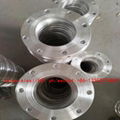 AL flange,SO Flange，PL-Aluminum  WN AL Flange 