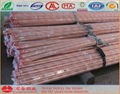 Copper Straight Pipe