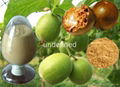 Monk Fruit Extract 1