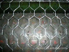 hexagonal wire mesh