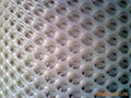 plastic plain mesh 3