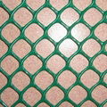 plastic plain mesh 4