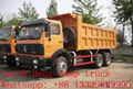 North benz 6*4 dump truck for sale  3