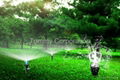 LED Garden Sprinkler 2