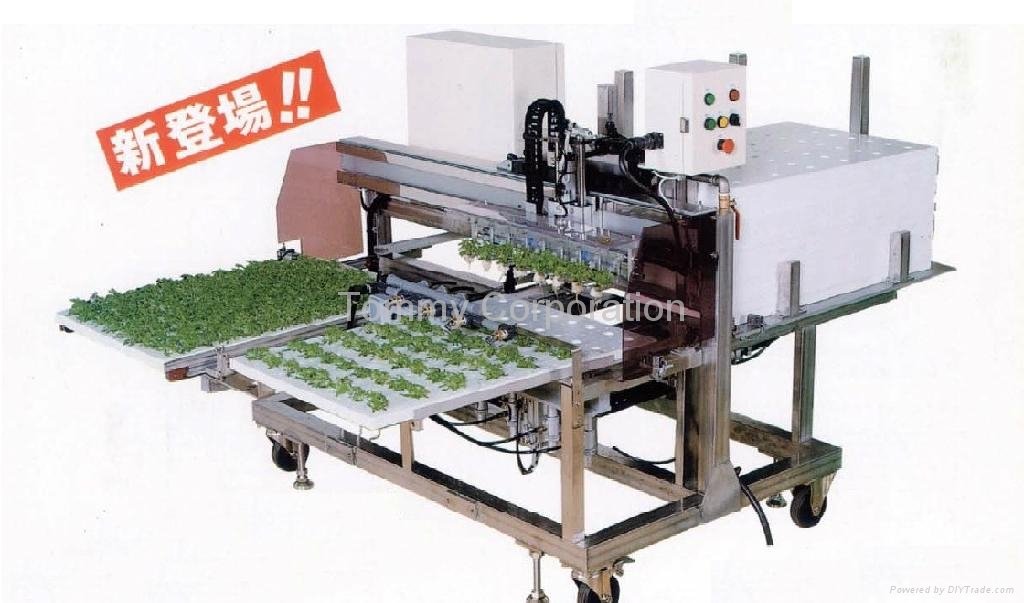 Packing Machine For Vegetables 5