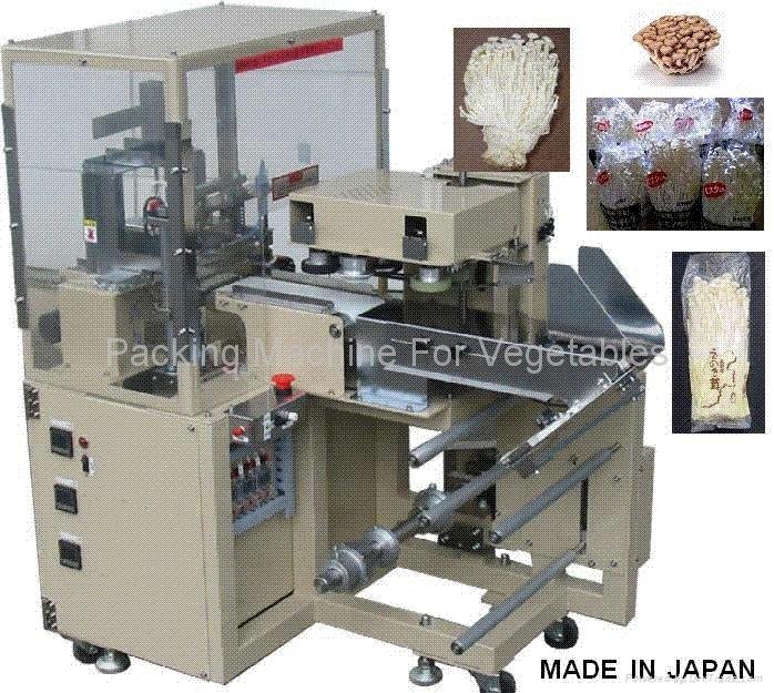 Packing Machine For Vegetables 2