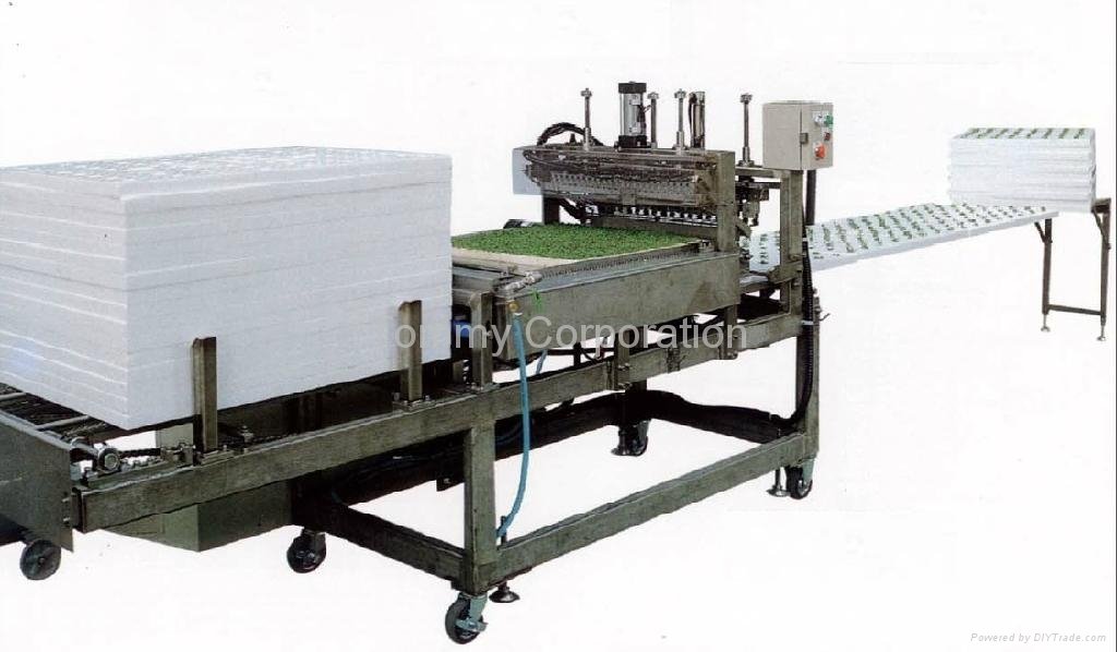 Packing Machine For Vegetables 3