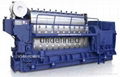 Hyundai Marine Generator Set 1