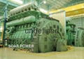 Man Low speed HFO Generator Sets (4MW to 77MW) 2