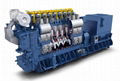 Hyundai Dual Fuel Generator Sets (1.6 MW