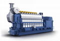 Hyundai Dual Fuel Generator Sets (1.6 MW to 21 MW) 3