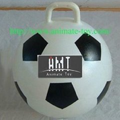 Animate Eurya Handball