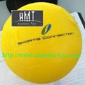 Animate Volleyball 1