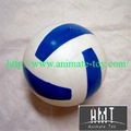 Animate Volleyball