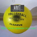 Animate Volleyball