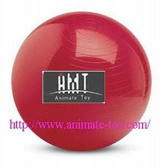 Animate Fitness ball