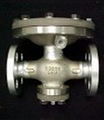 Rocky Valve